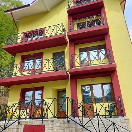 Vila Ioana Hotel Slănic-Moldova Esterno foto