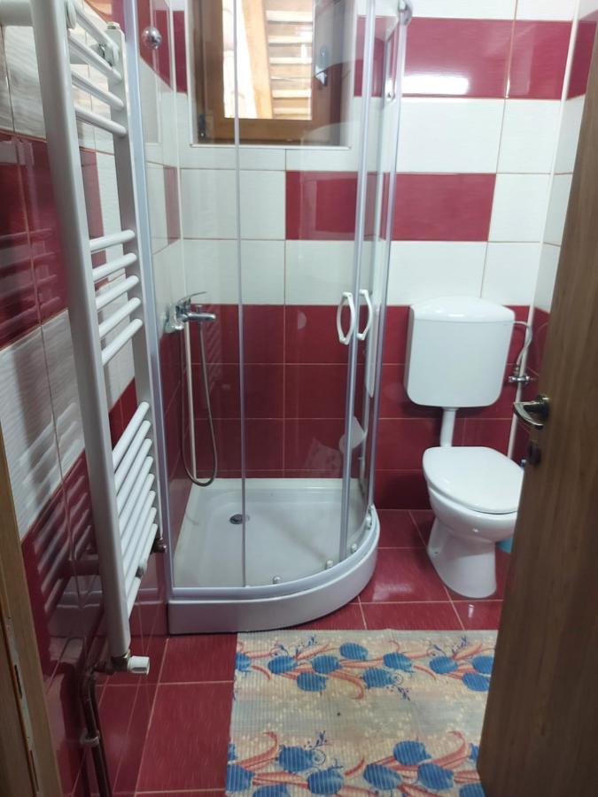 Vila Ioana Hotel Slănic-Moldova Esterno foto