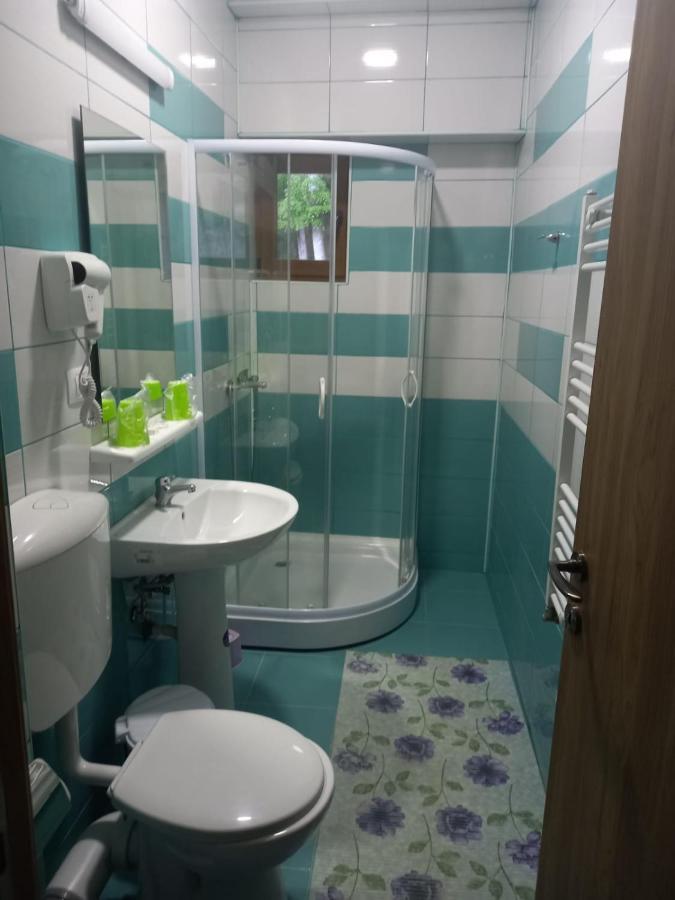 Vila Ioana Hotel Slănic-Moldova Esterno foto