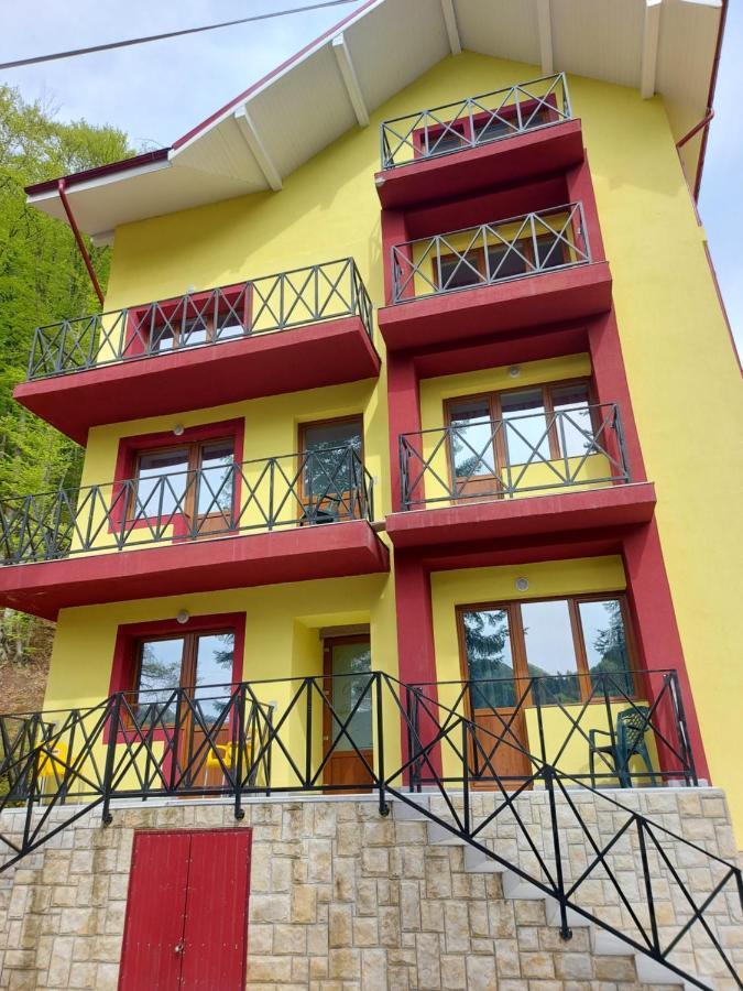 Vila Ioana Hotel Slănic-Moldova Esterno foto